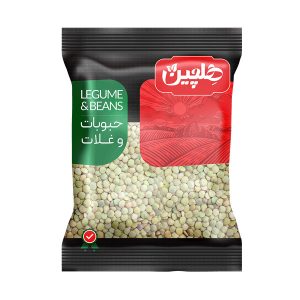العدس الأخضر