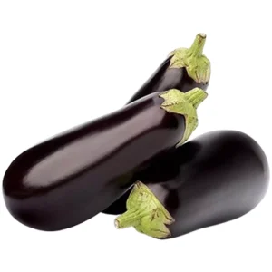 الباذنجان