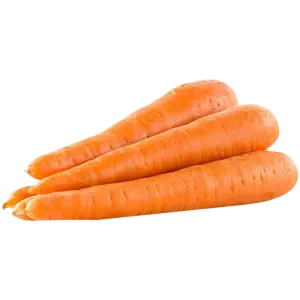 جزرة
