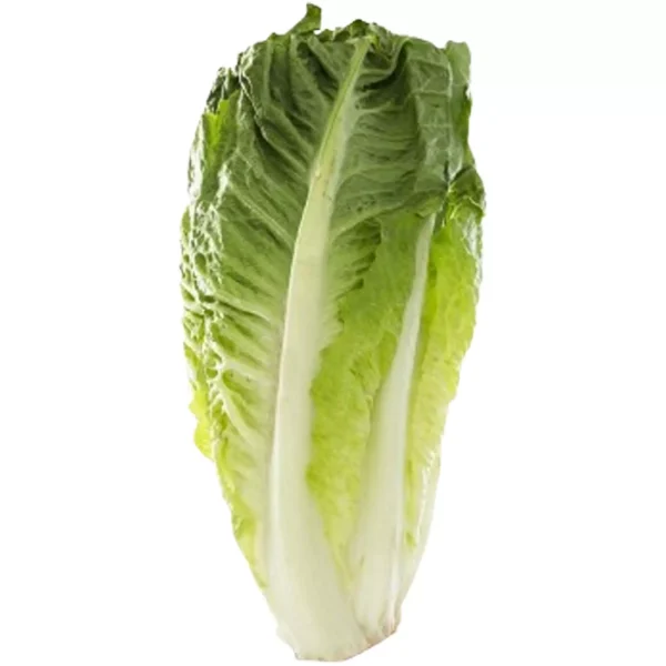 خس