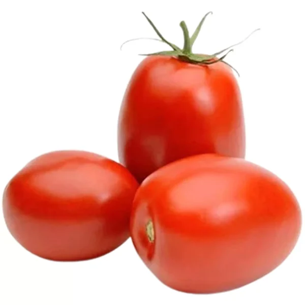 طماطم